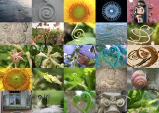 Spiral-Formen in der Natur, Architektur, Kunst