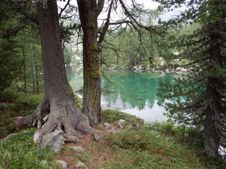 Blick auf den Saoseo-See, Lag da Saoseo, Val da Camp - Valposchiavo