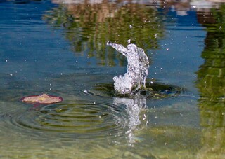 Wassergestalt nach Steinwurf B