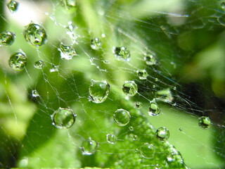 Regenbogen-Gesichter