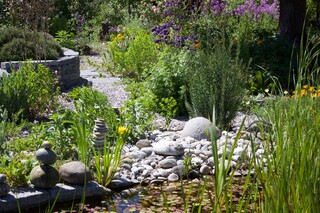 diverse Wildpflanzen, Natursteinmauer, Kiesweg, Steintürme aus runden und flachen Steinen aus der Emme am Teichufer