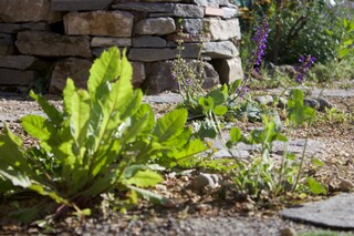 Löwenzahn, Rotklee, Wiesensalbei, Nistturm