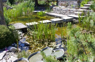 Wasseranlage mit Trittplatten