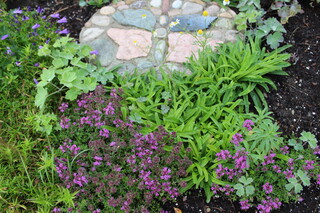 Kräuter mit Natursteinmosaik Schmetterling