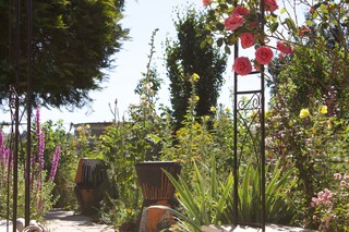 Rosenbogen, Wildstauden, Büsche, Tonobjekte Vulkan