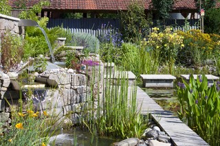 Teichpflanzen Wasserfall, Natursteinmauer