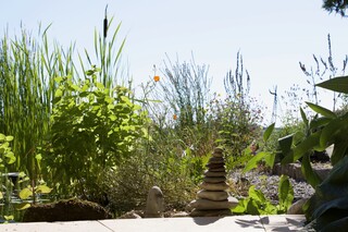 Steinturm, bemooster Stein, Wasserpflanzen, Wildstauden, Beinwell