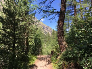 Wanderweg im Graubünden