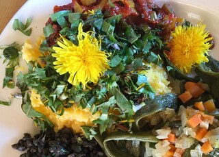 INSPIRATION, Polenta mit Wildsalat, Löwenzahnblüten und Blätter