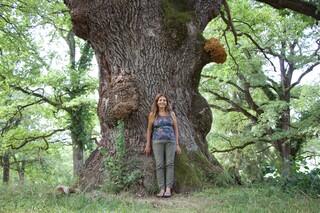Wanda beim uraltem Eichenbaum