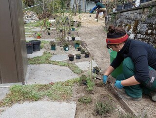 Pflanzen setzen, Nistturm